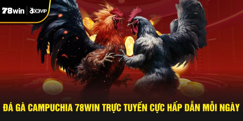 Đ&aacute; G&agrave; Campuchia 78Win Trực Tuyến Cực Hấp Dẫn Mỗi Ng&agrave;y