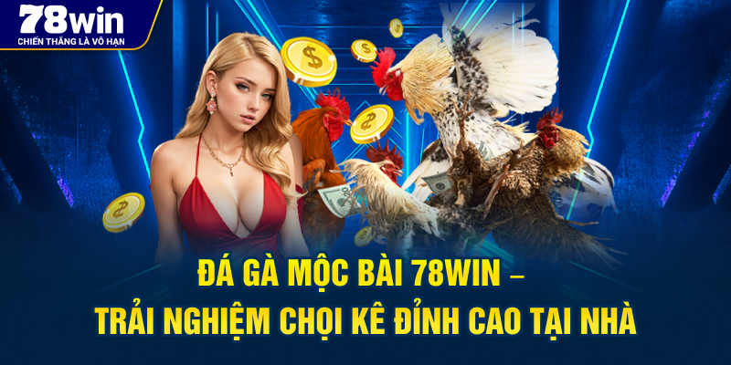 Đ&aacute; G&agrave; Mộc B&agrave;i 78Win &ndash; Trải Nghiệm Chọi K&ecirc; Đỉnh Cao Tại Nh&agrave;
